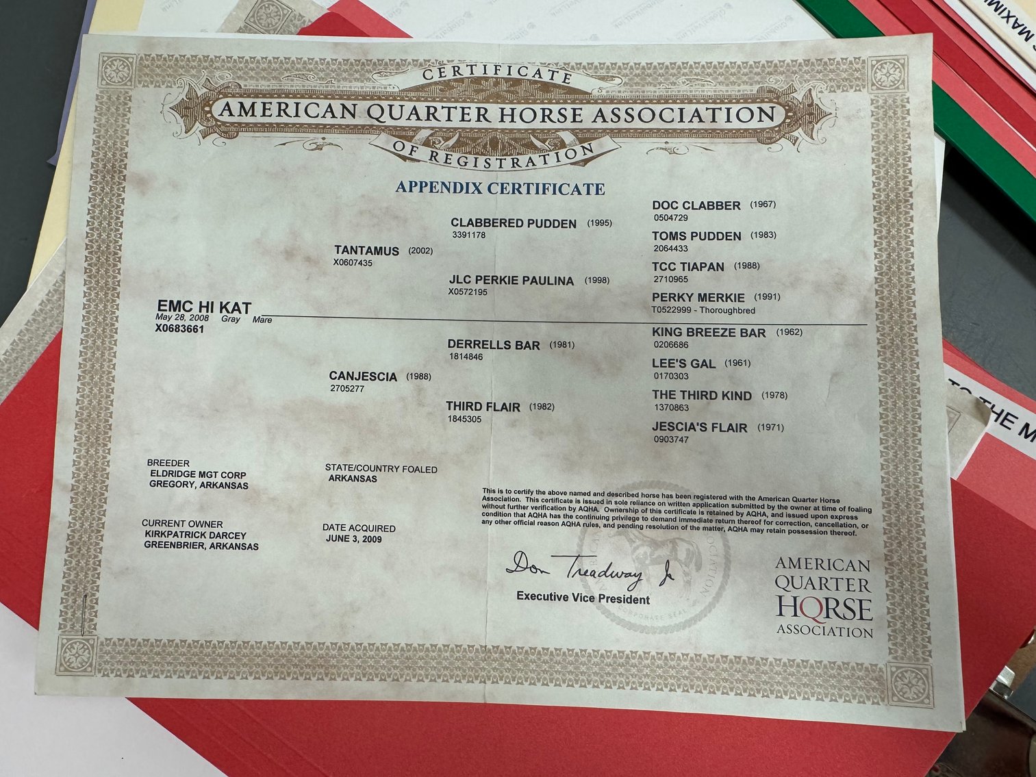 Image for Ocala Horse Sale Spring Sale - Saturday, April 18th - Ocala, Florida