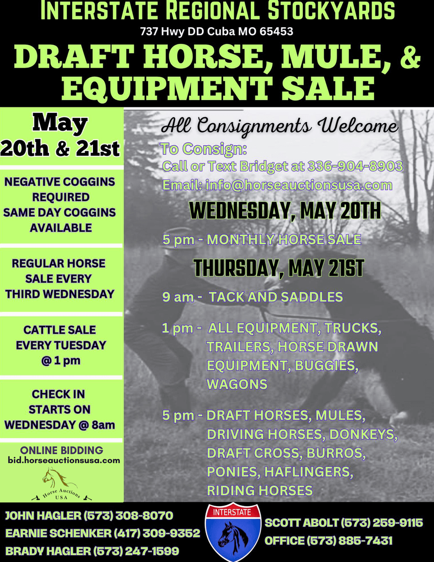 Image for Interstate Regional Stockyards TWO DAY MAY SPECIAL - DAY 2 - THURSDAY, MAY 21ST