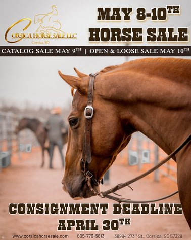 Image for Corsica Horse Sale Two Day May Horse Sale - DAY ONE - SATURDAY, MAY 9TH - Corsica, South Dakota