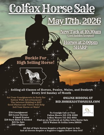 Image for Colfax Horse Sale  - SUNDAY, MAY 17TH - Colfax, Iowa