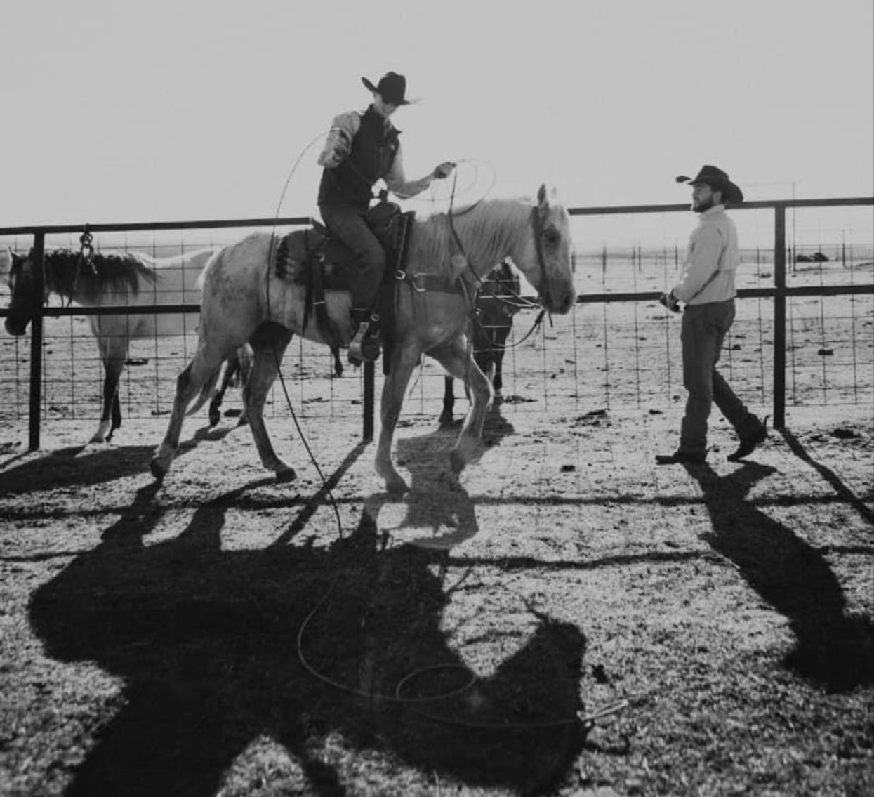 Image for Stroud Oklahoma Horse Auction Summer Special - SATURDAY, MAY 30TH - Stroud, Oklahoma