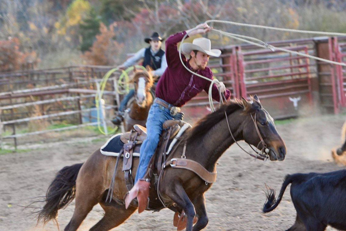 Image for Show Me The Horses Select Sale - Cuba, Missouri SATURDAY, JUNE 6TH