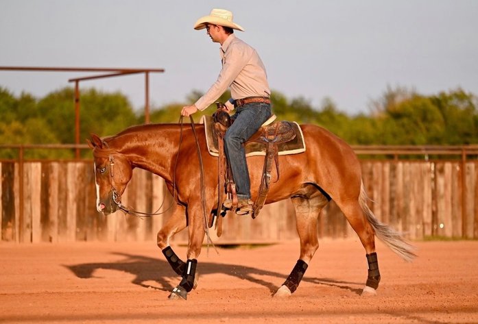 Image for Corsica Horse Sale Two Day June Horse Sale - DAY ONE - SATURDAY, JUNE 13TH - Corsica, South Dakota