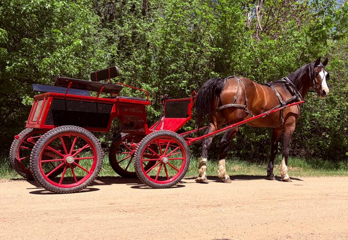 Image for Corsica Horse Sale Two Day June Horse Sale - DAY ONE - SATURDAY, JUNE 13TH - Corsica, South Dakota
