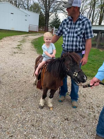Image for Interstate Regional Stockyards Horse Sale - Cuba, Missouri WEDNESDAY JUNE 17TH