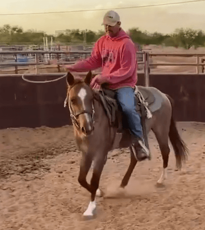 Image for Jones Livestock Auction *Pop Up Sale* THURSDAY JUNE 11TH -  Jones, Oklahoma