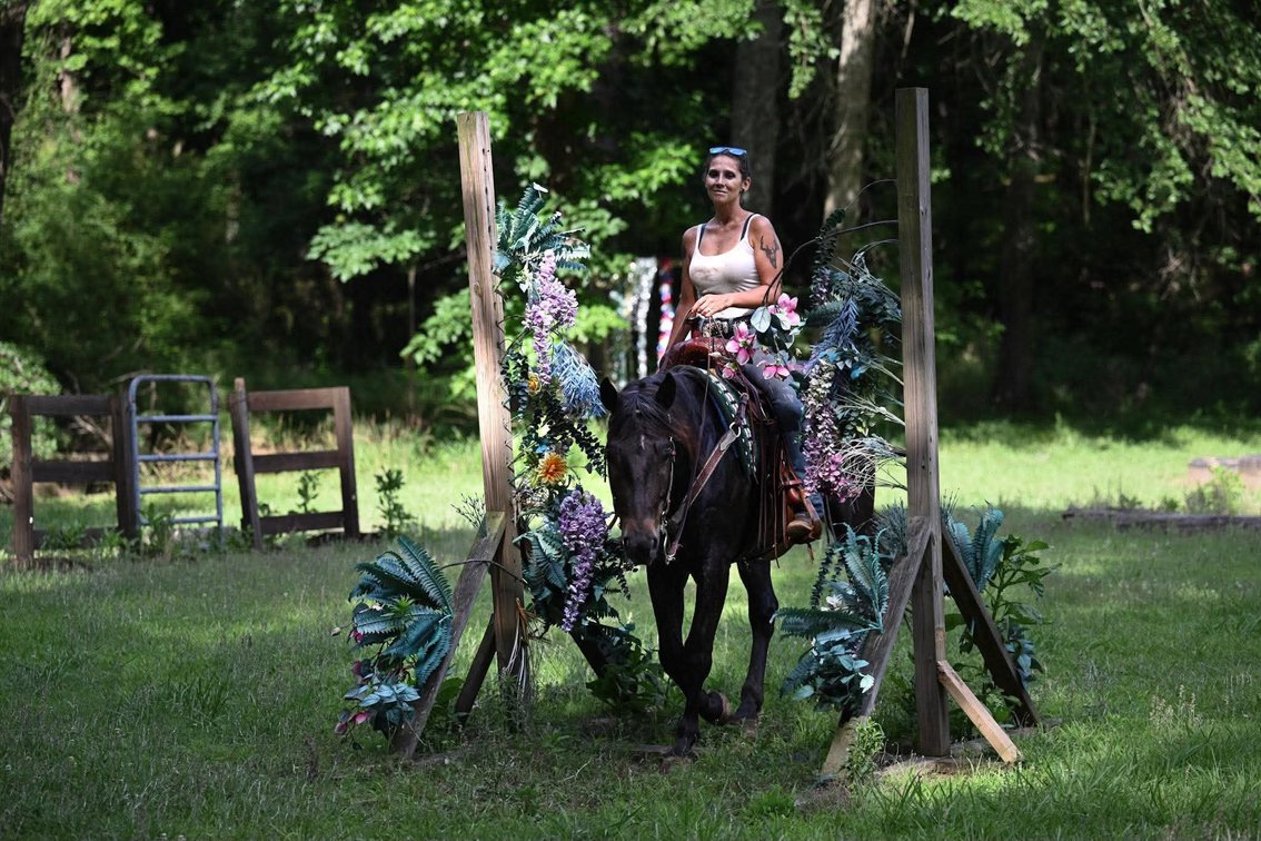 Image for Casino Classic All Breed Horse Sale - Oak Grove, Kentucky SATURDAY,  AUGUST 8TH