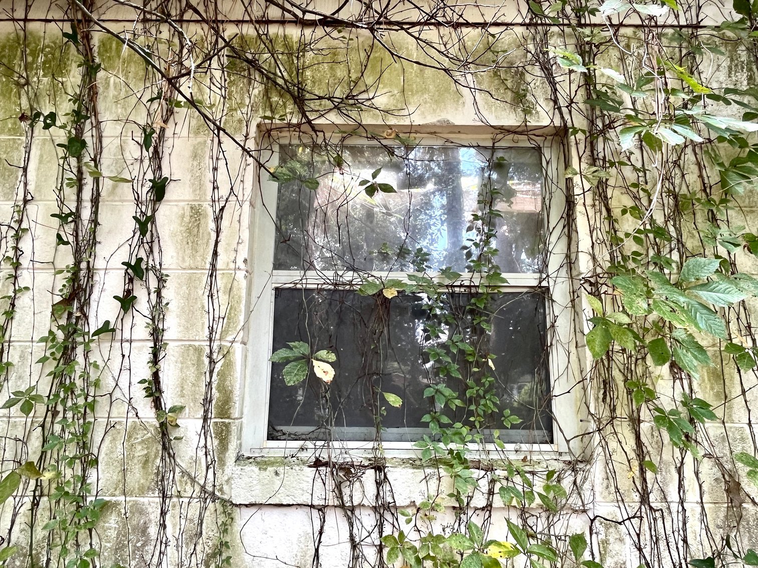 Image for 128 W. Highland Drive Absolute Auction