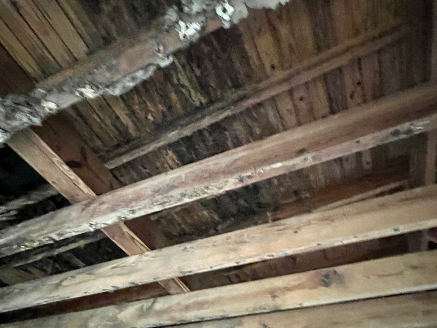 Image for 128 W. Highland Drive Absolute Auction