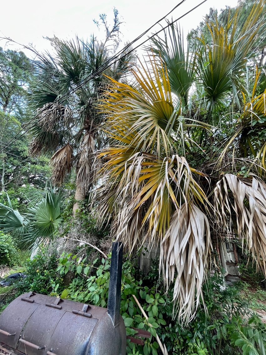 Image for 128 W. Highland Drive Absolute Auction