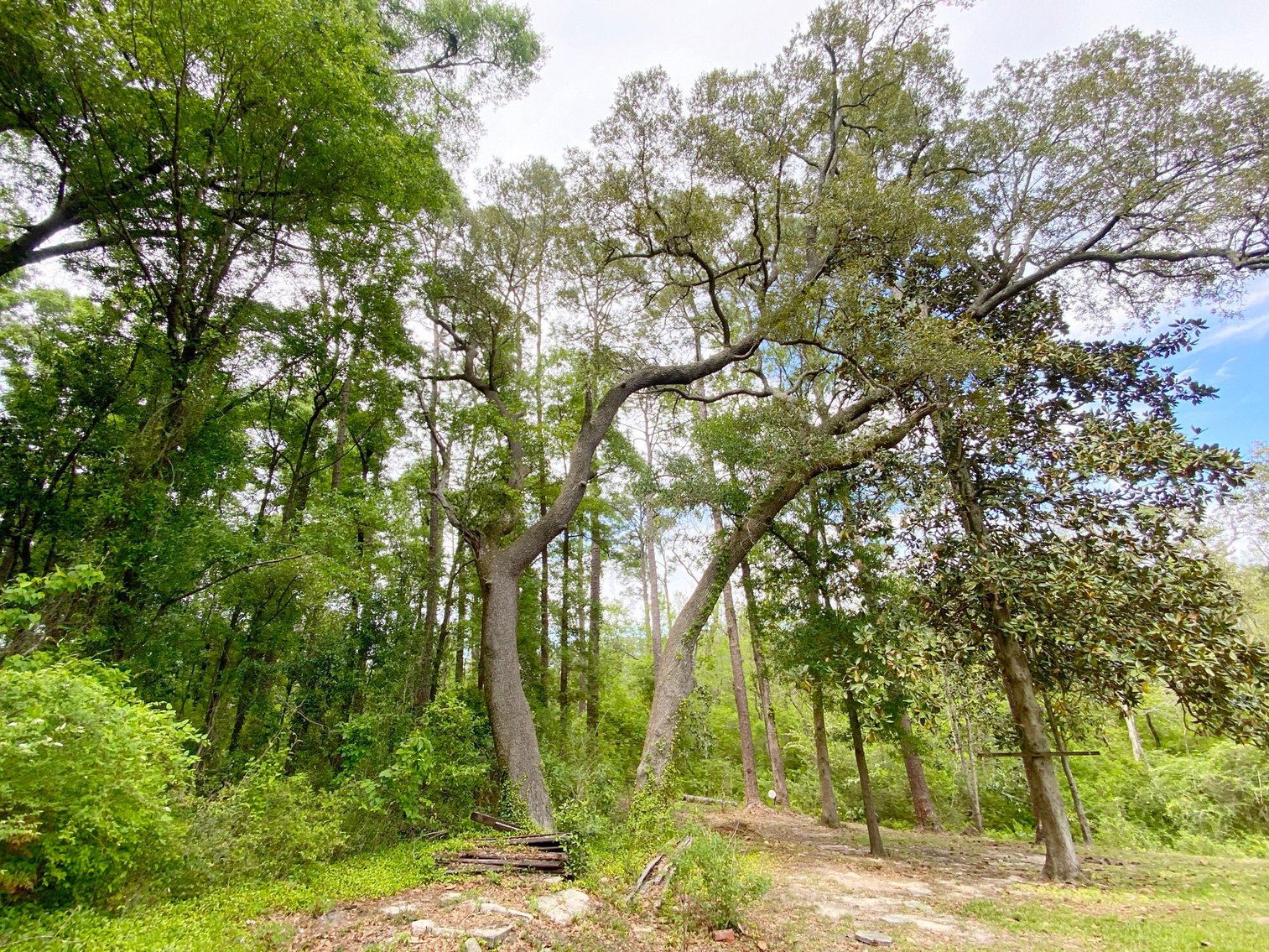 Image for Fabulous Brick Home on Carpenters Creek