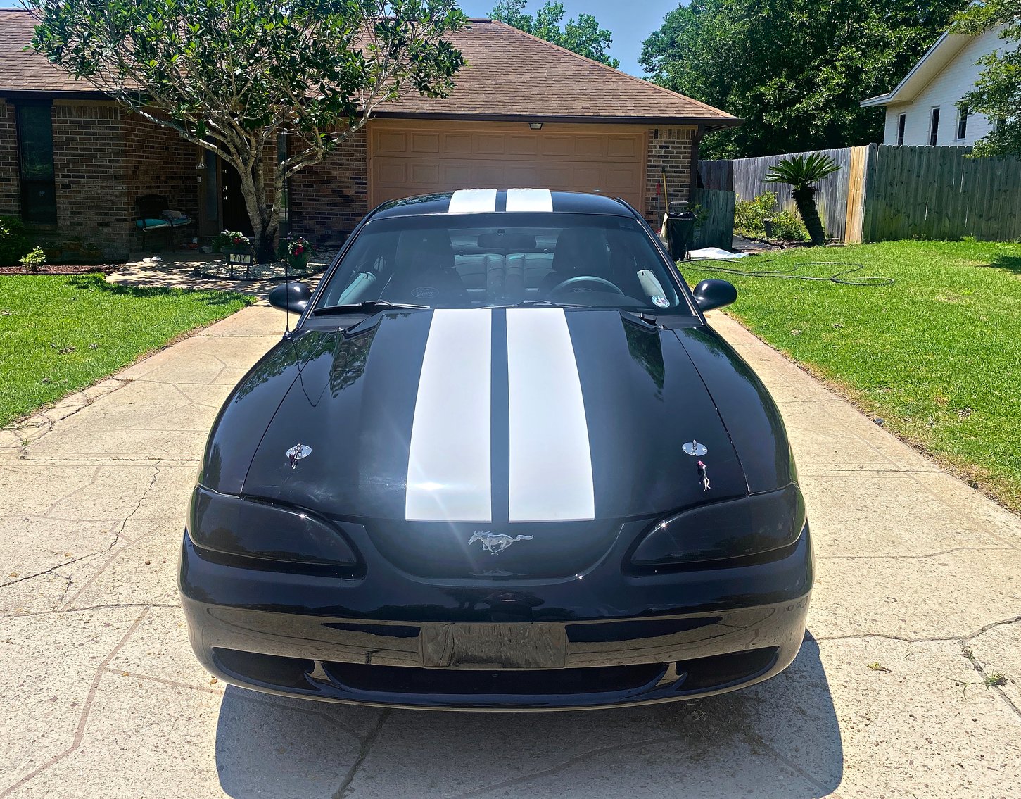 Image for 1997 Mustang GT