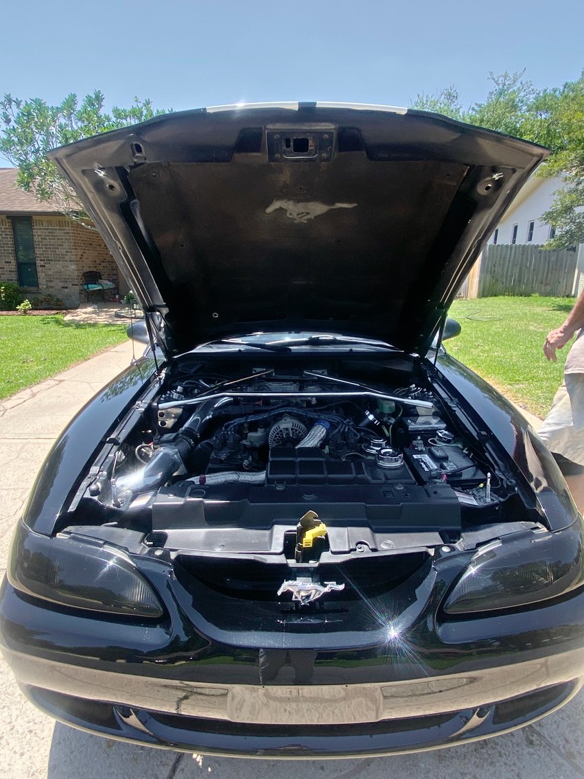 Image for 1997 Mustang GT