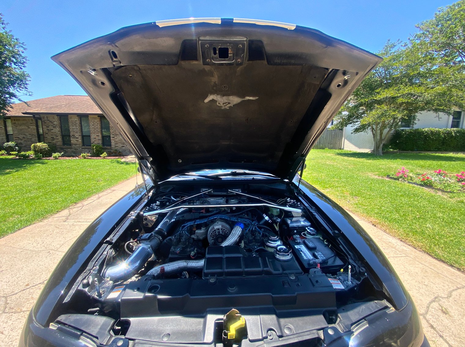 Image for 1997 Mustang GT