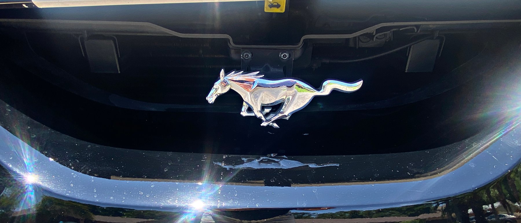 Image for 1997 Mustang GT