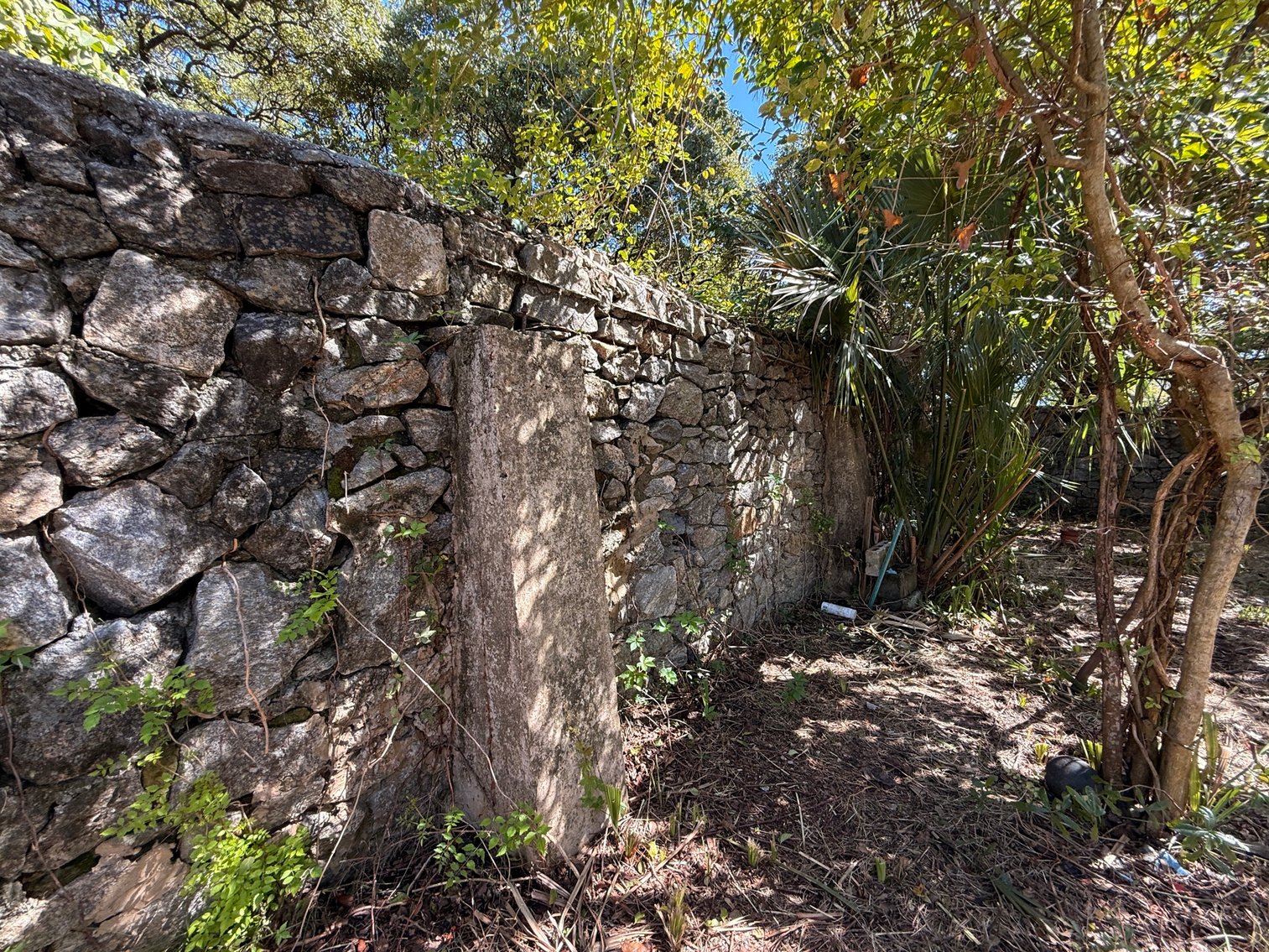 Image for 115 W. Wright St. Prime Downtown Pensacola FL Location