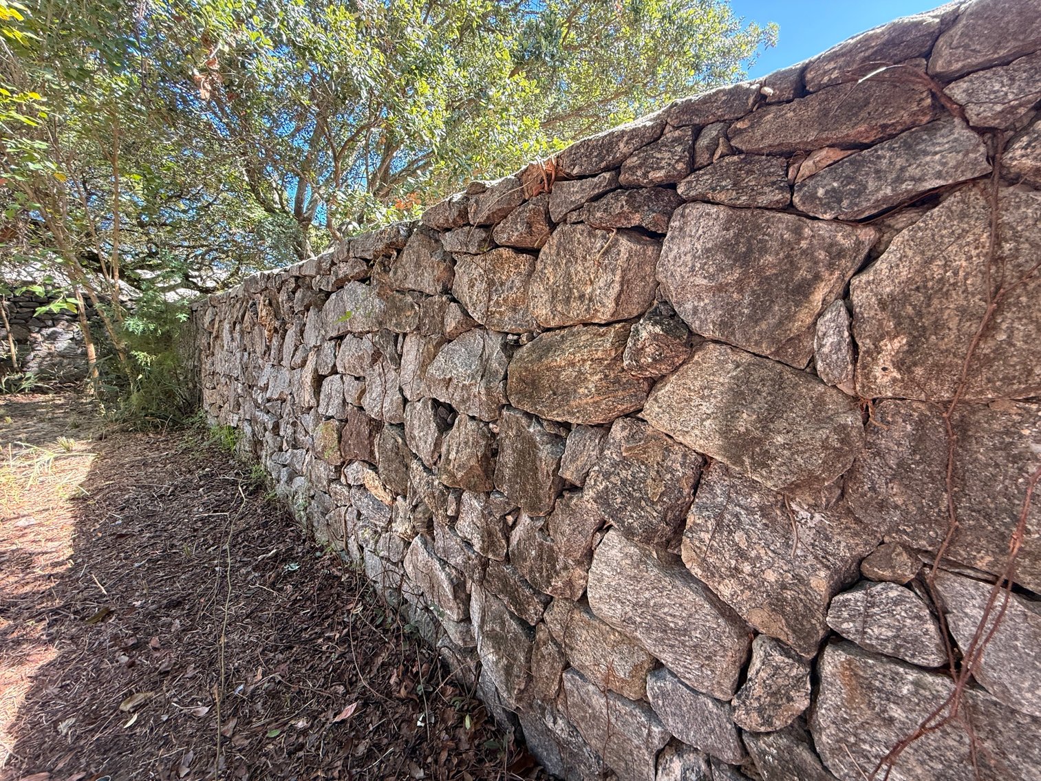 Image for 115 W. Wright St. Prime Downtown Pensacola FL Location