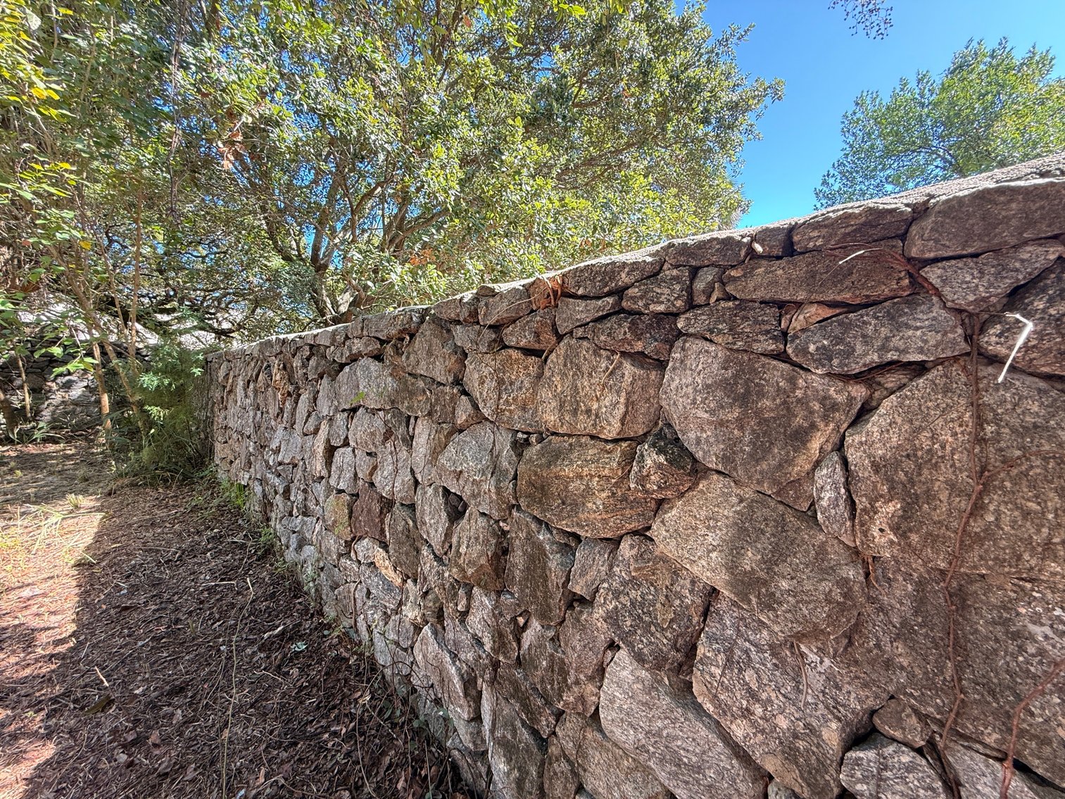 Image for 115 W. Wright St. Prime Downtown Pensacola FL Location