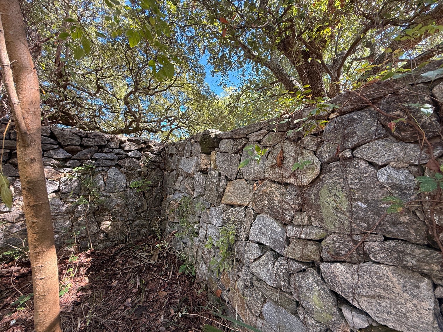 Image for 115 W. Wright St. Prime Downtown Pensacola FL Location