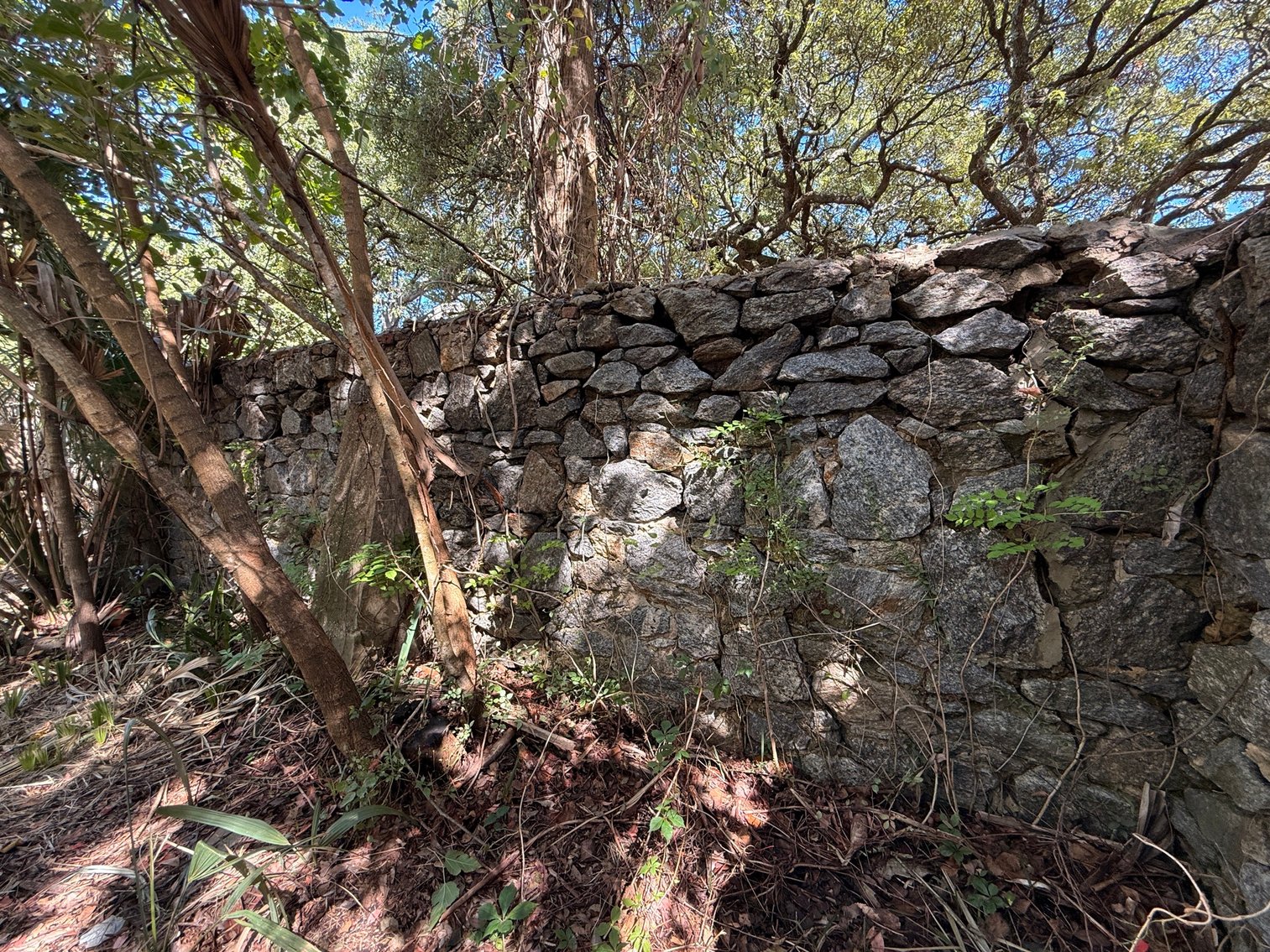 Image for 115 W. Wright St. Prime Downtown Pensacola FL Location