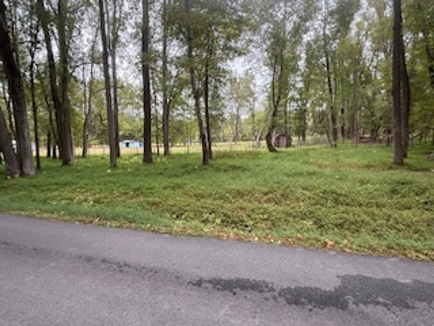Image for Land for Sale at Auction – 3.93+/- Acres! Reedy Branch Rd