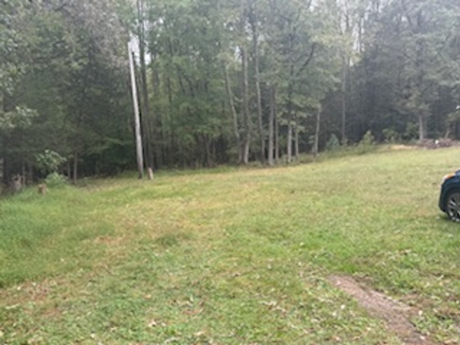 Image for Land for Sale at Auction – 3.93+/- Acres! Reedy Branch Rd