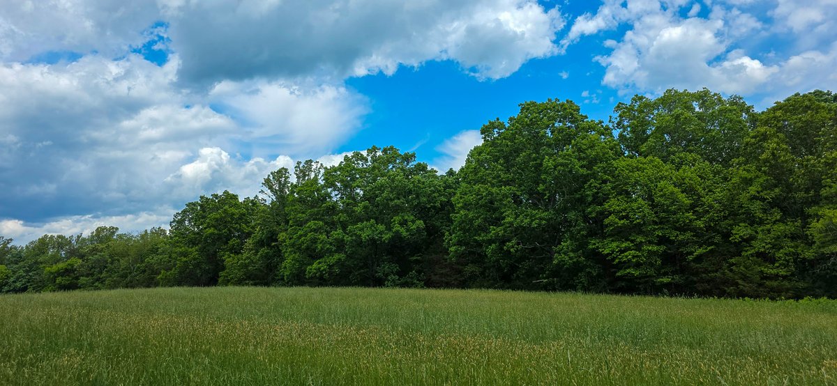 Image for Boones Mill 116 Acre Farm