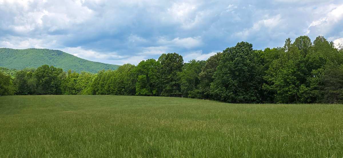 Image for Boones Mill 116 Acre Farm