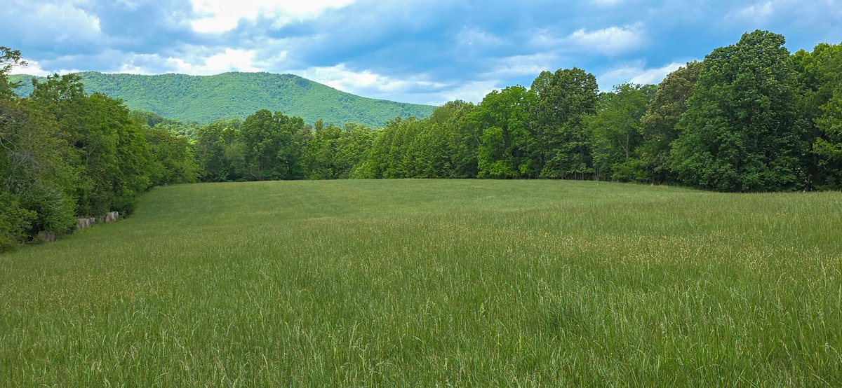 Image for Boones Mill 116 Acre Farm
