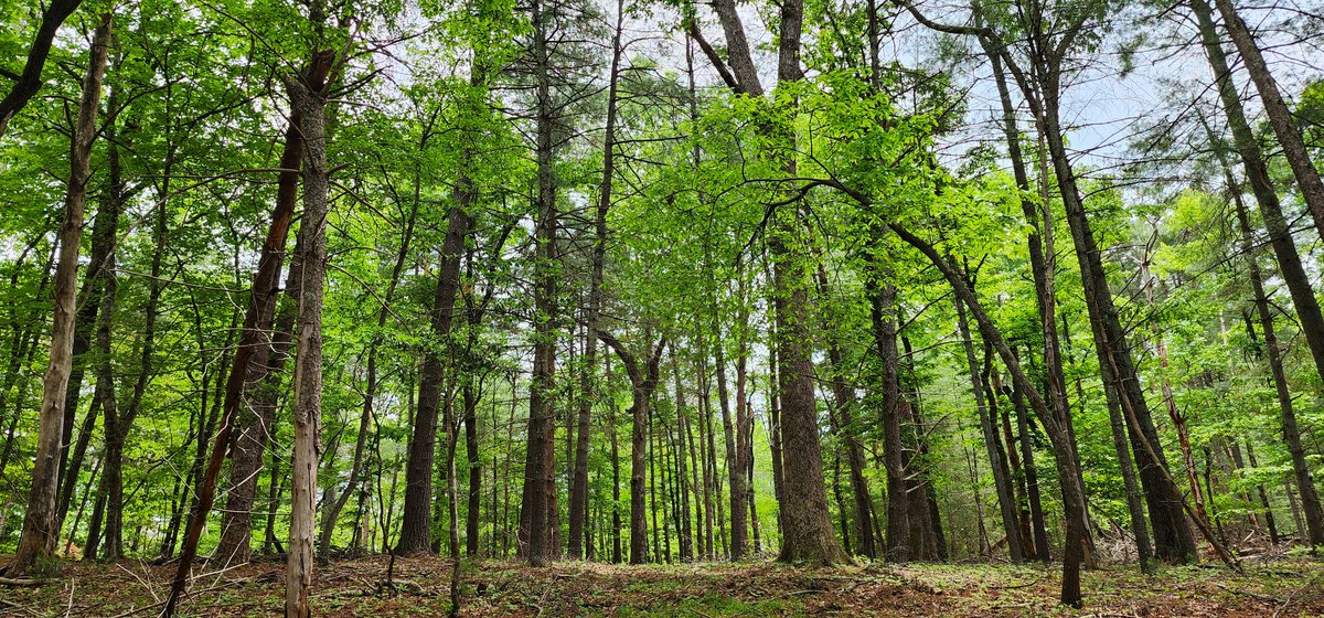 Image for Boones Mill 116 Acre Farm
