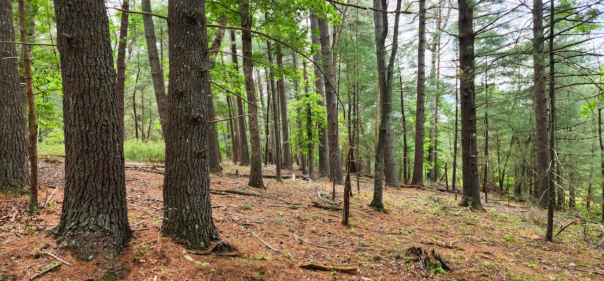 Image for Boones Mill 116 Acre Farm