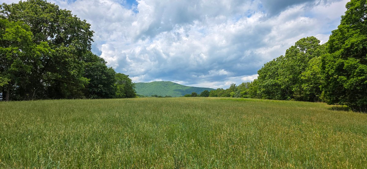 Image for Boones Mill 116 Acre Farm