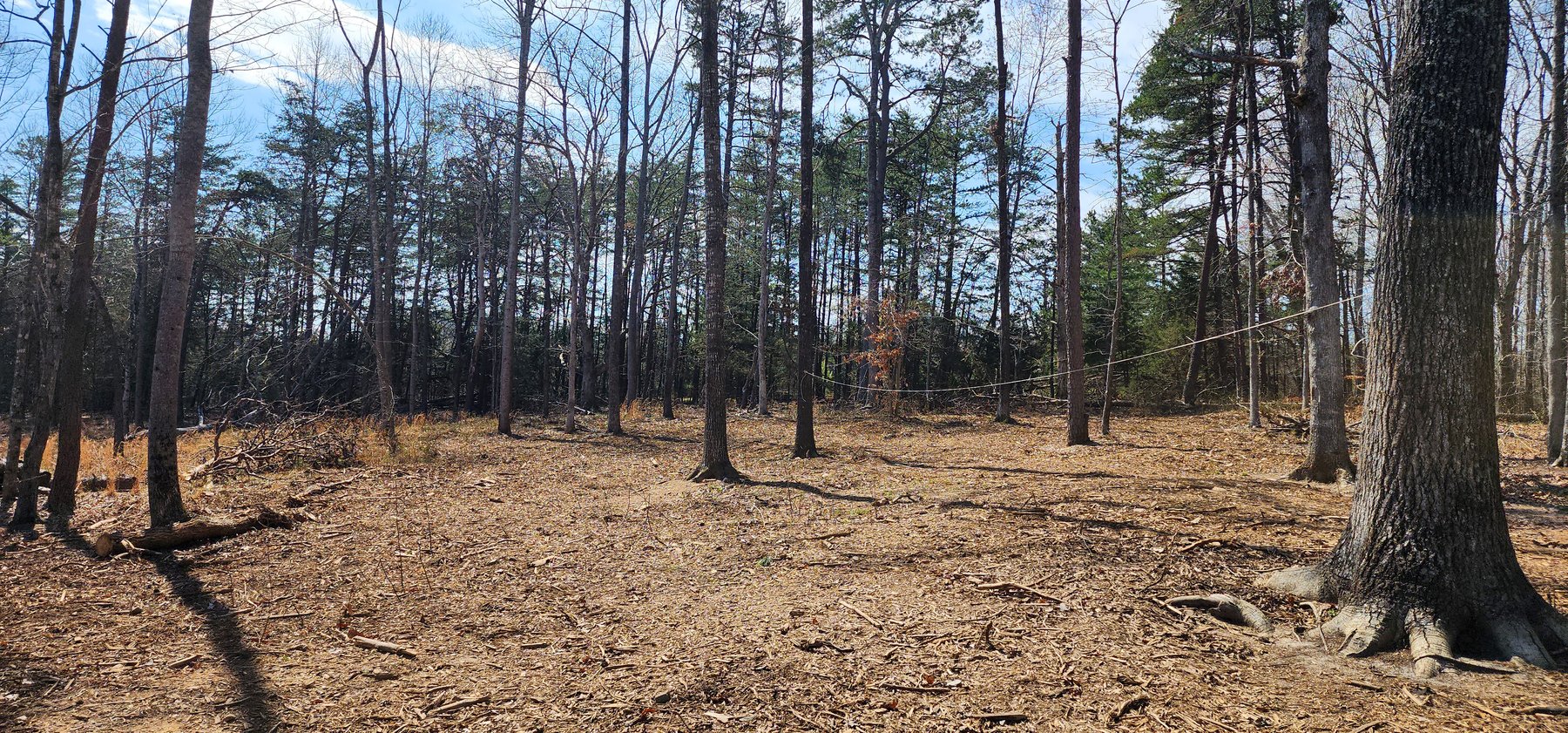 Image for 10 Acres on Button Creek in Rustburg