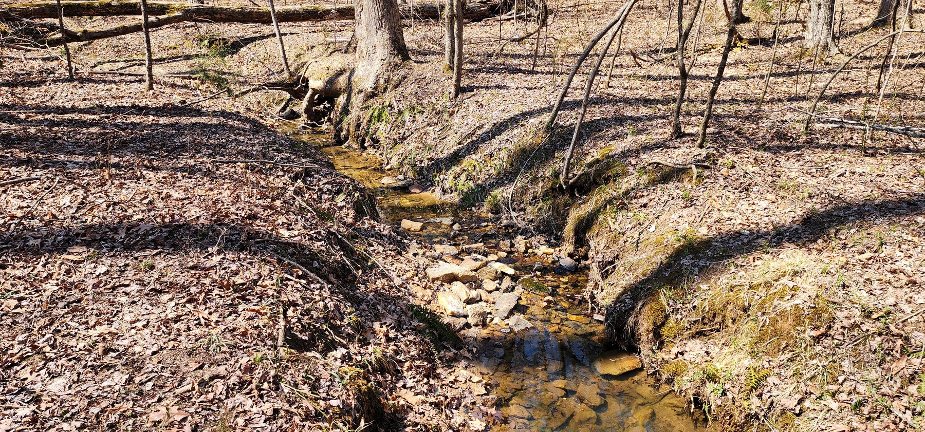 Image for 10 Acres on Button Creek in Rustburg