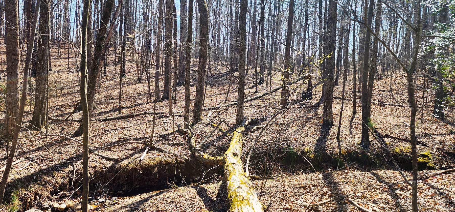 Image for 10 Acres on Button Creek in Rustburg