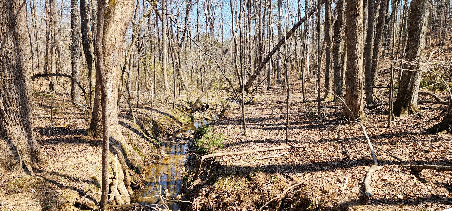 Image for 10 Acres on Button Creek in Rustburg