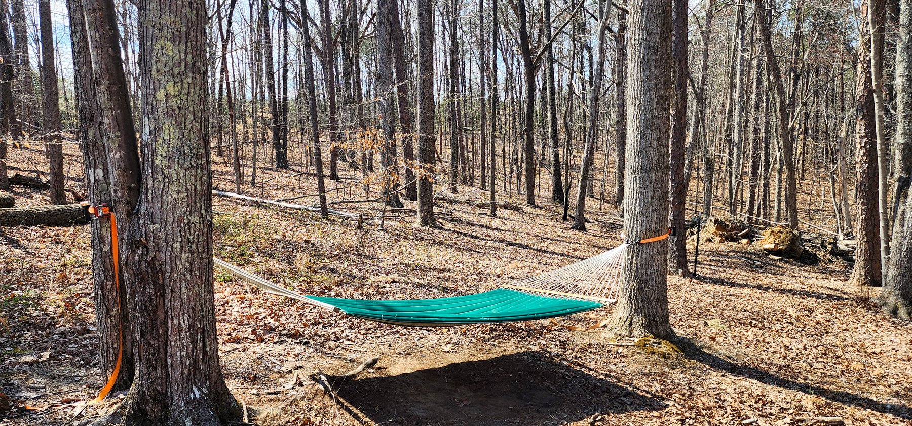 Image for 10 Acres on Button Creek in Rustburg