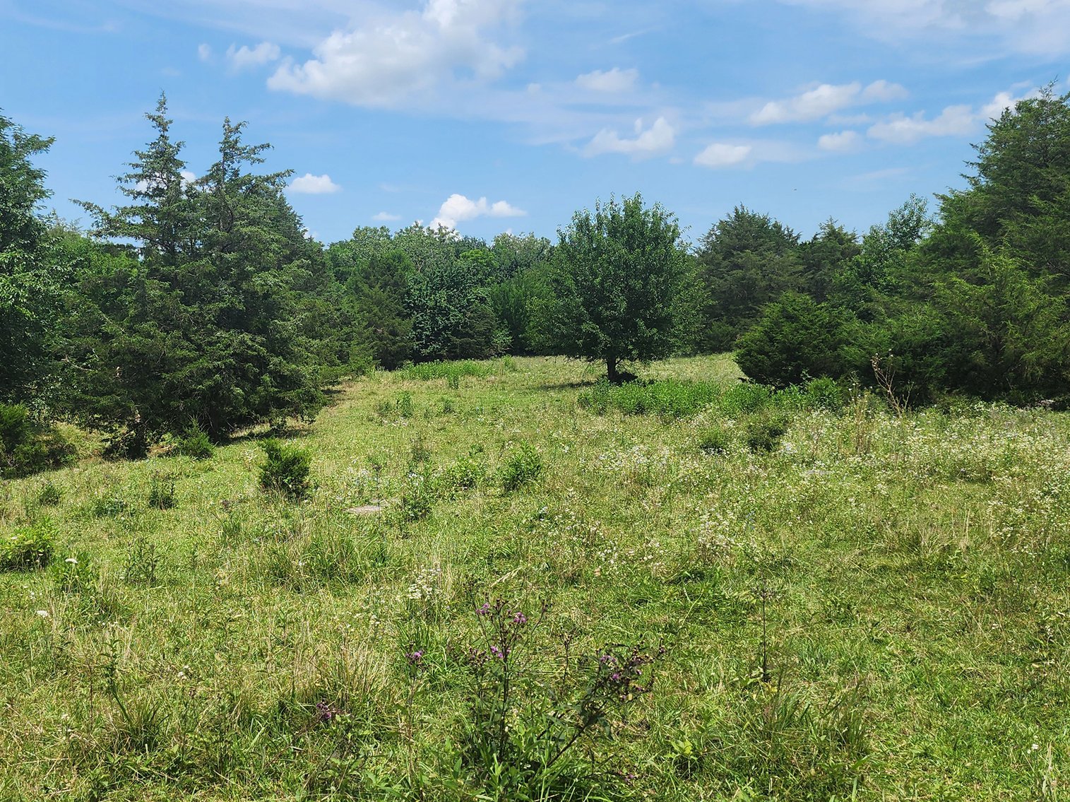 Image for 90 Acre Development Tract near Harrisonburg VA