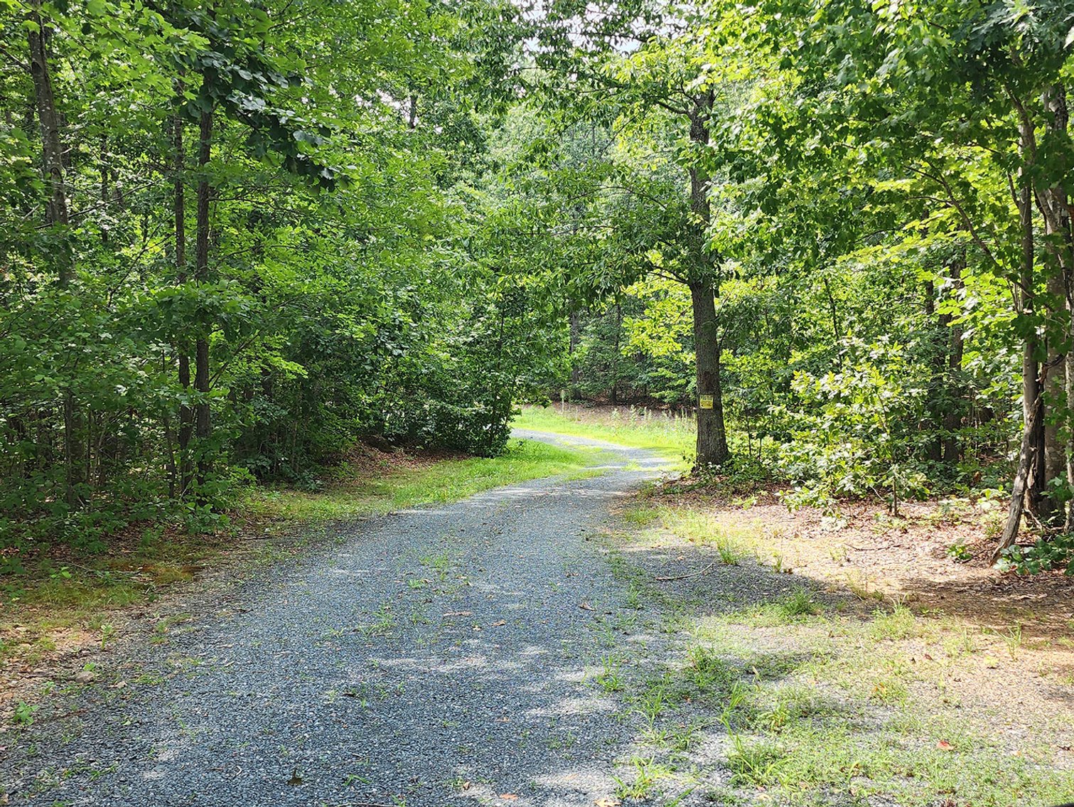 Image for Beautiful 80 Acres in Appomattox VA