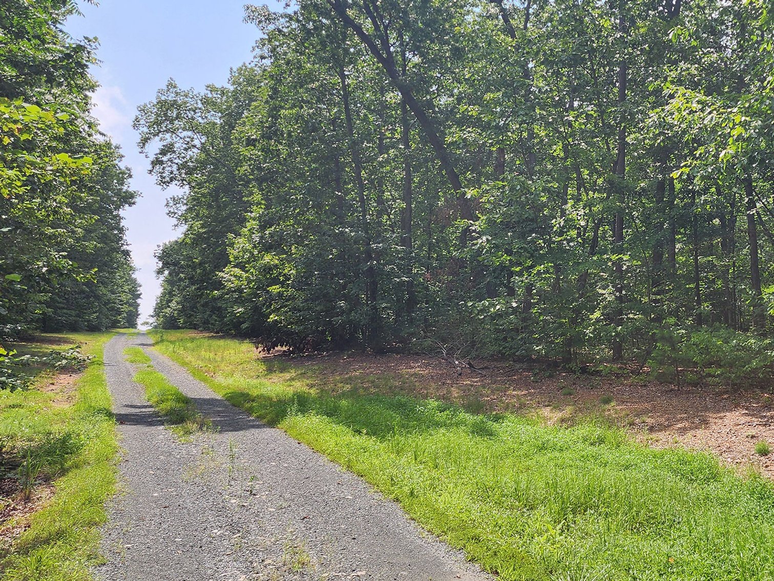 Image for Beautiful 80 Acres in Appomattox VA