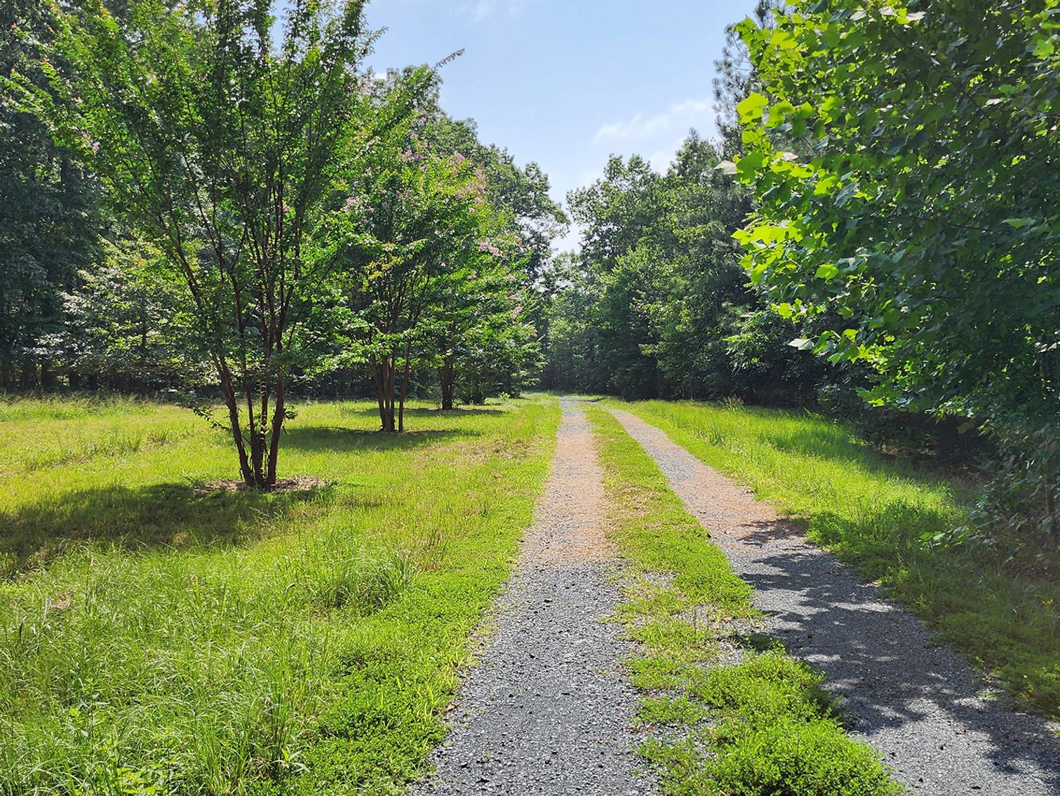 Image for Beautiful 80 Acres in Appomattox VA