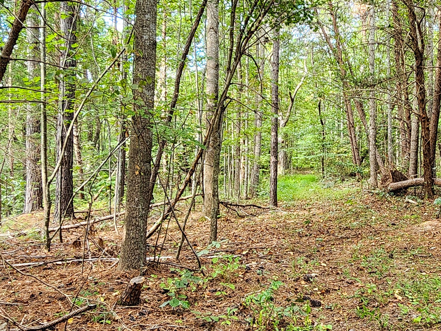 Image for 2 BR Home on 4.1 Acres