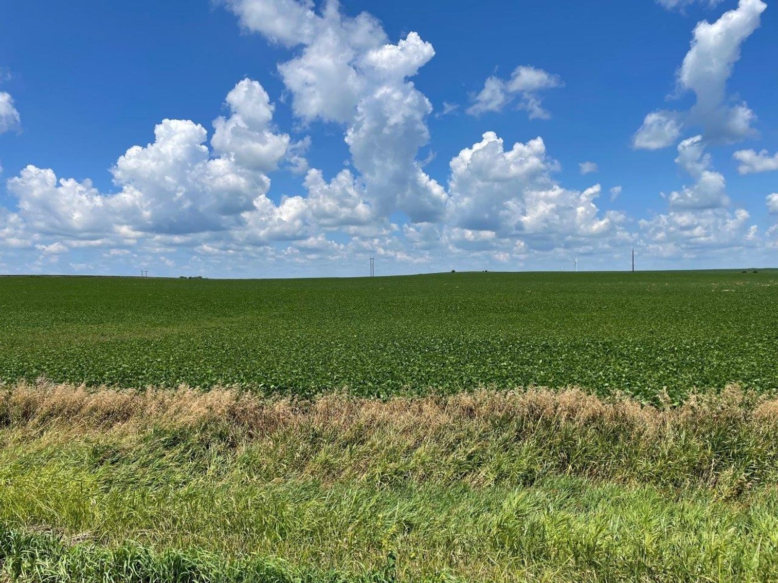 Image for Sac County Farmland Auction!