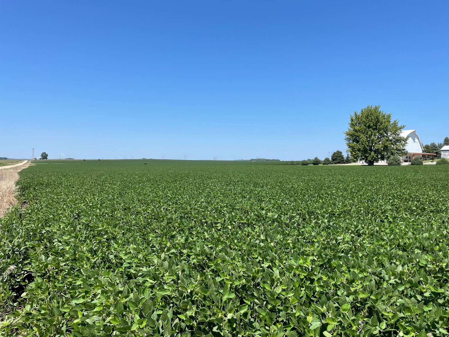Image for Sac County Farmland Auction!