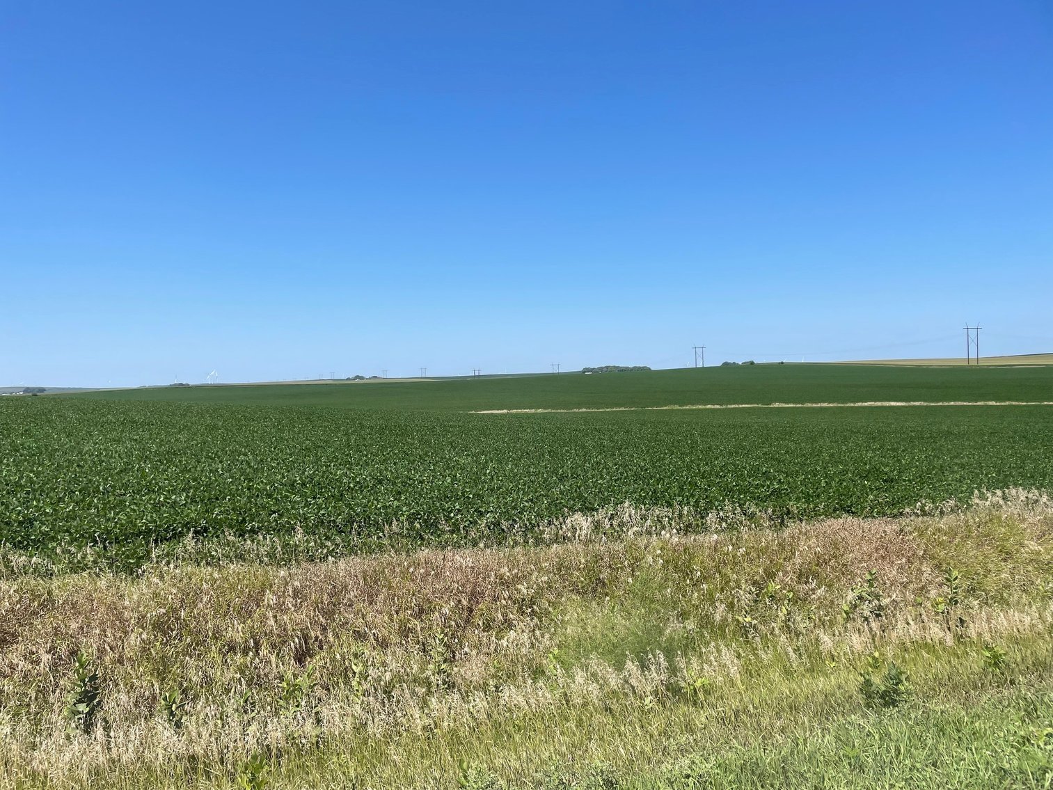 Image for Sac County Farmland Auction!