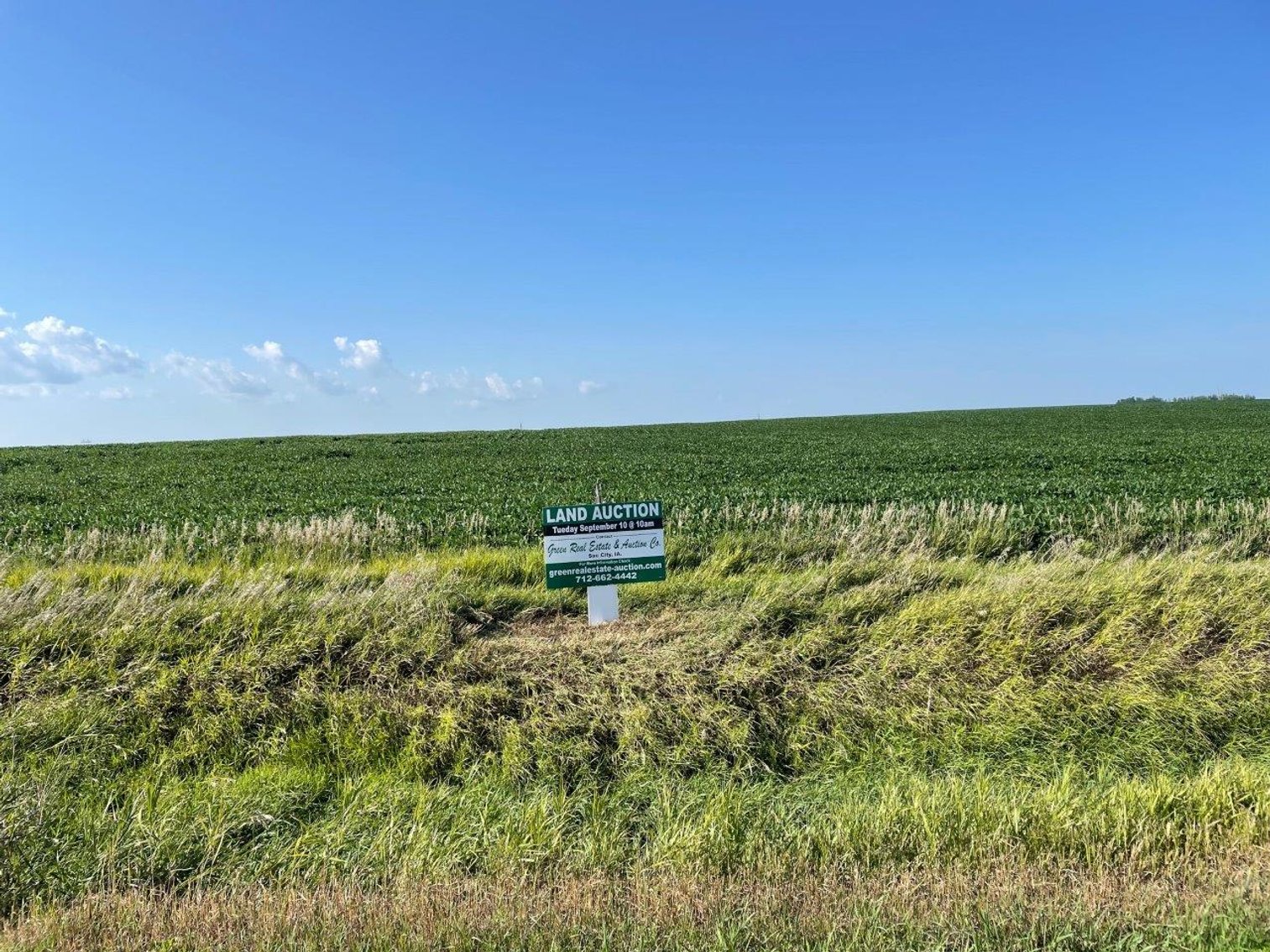 Image for Greene County Land Auction!
