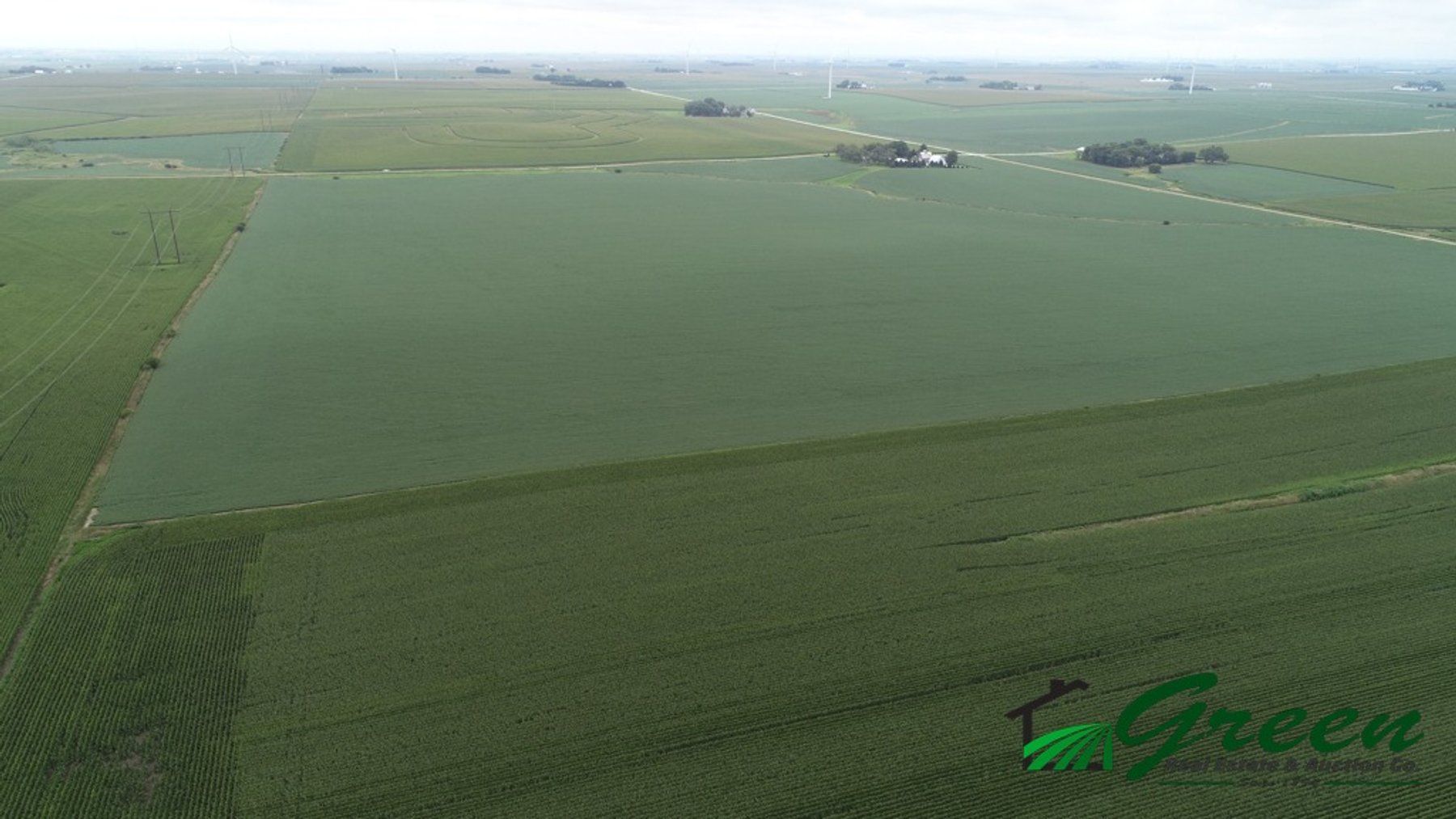 Image for Sac County Farmland Auction!
