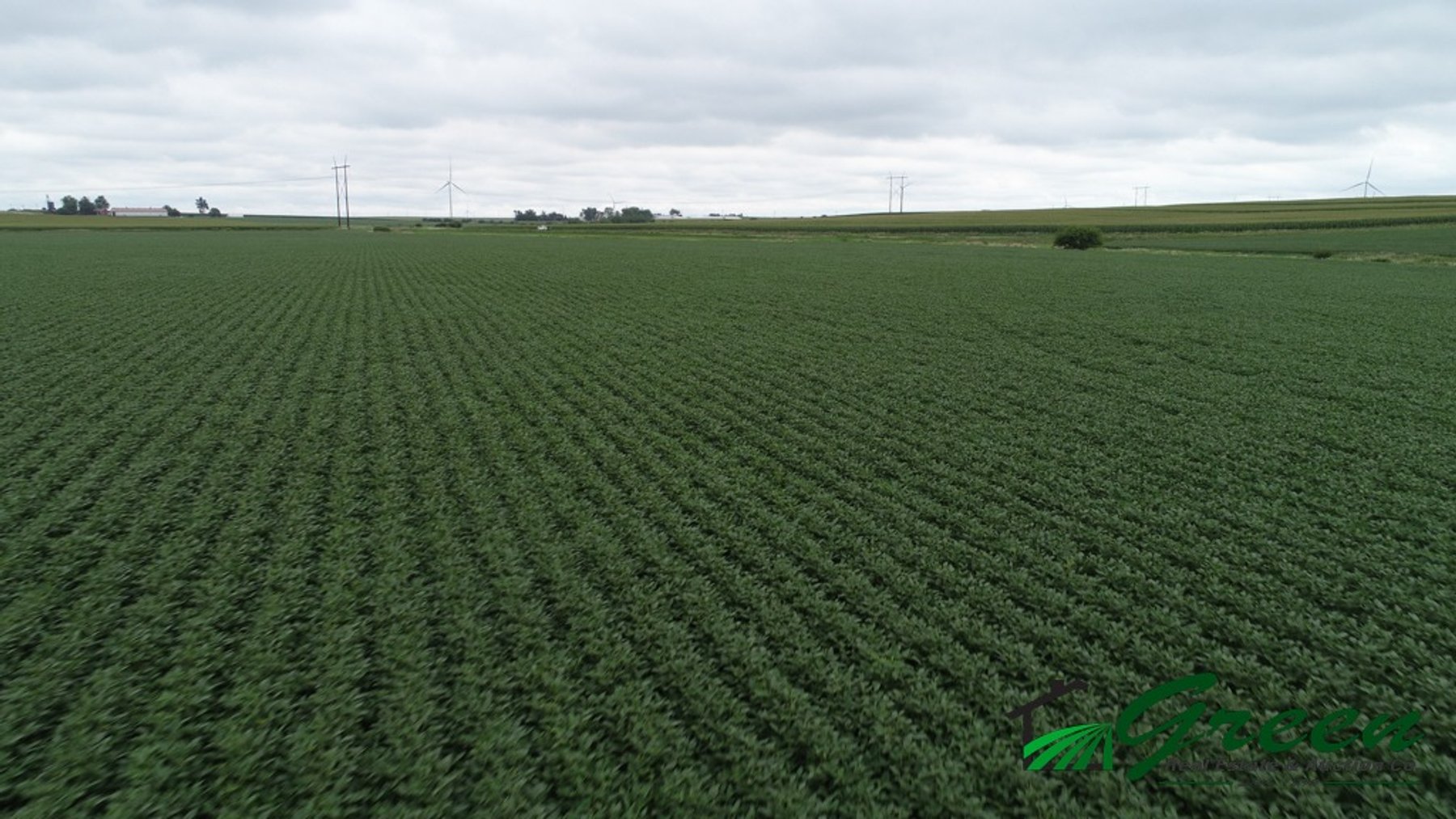 Image for Sac County Farmland Auction!