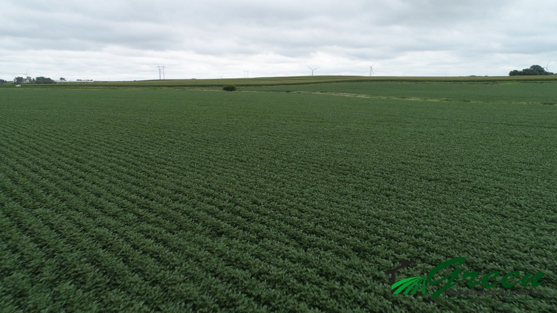 Image for Sac County Farmland Auction!