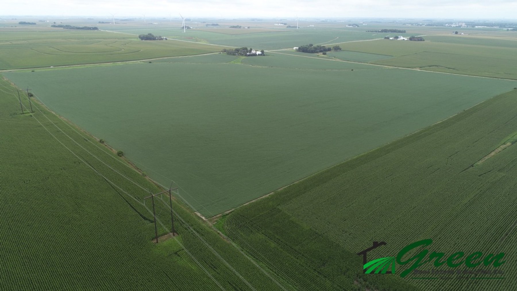 Image for Sac County Farmland Auction!
